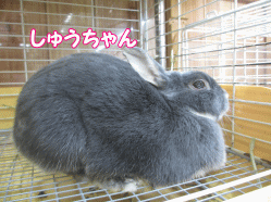 141227o.gif