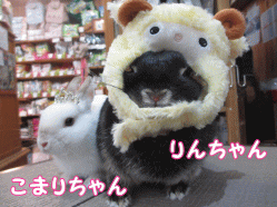 141228b1.gif