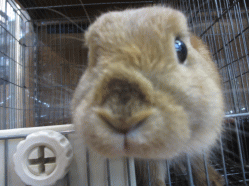 141228d2.gif