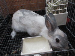 141228f2.gif