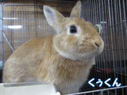 141228g1.gif