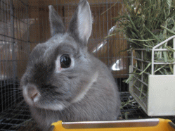 141228h2.gif