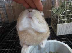 141228i2.gif