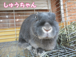 141228k1.gif