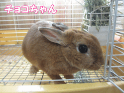 141228n1.gif