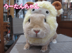 141229a.gif