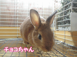 141229m.gif