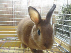 141229n.gif