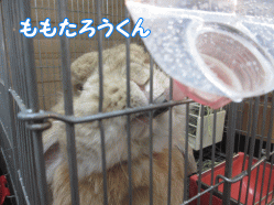141229o.gif