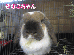 141229s.gif