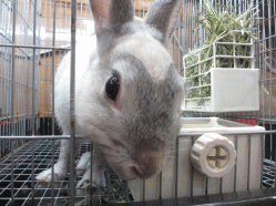 141229z2.gif