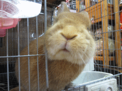 141229z8.gif