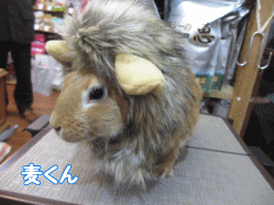 141230e.gif