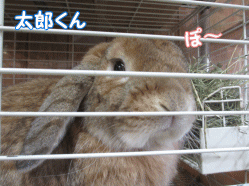 141230g.gif