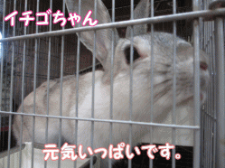 141230m.gif