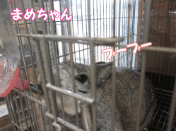 141230n.gif