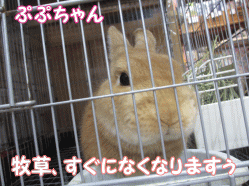 141230o.gif