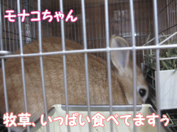 141230p.gif