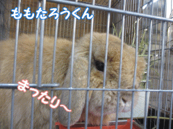 141230r.gif