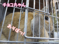 141230s.gif