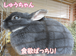 141230w.gif