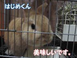 141230z.gif