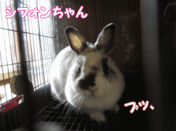 141230z2.gif