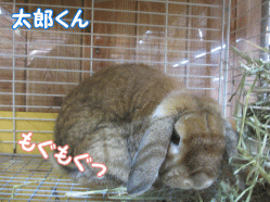 141231a.gif