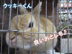 141231e.gif