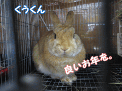 141231f.gif