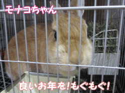 141231j.gif