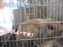 141231n.gif