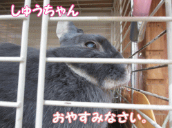 141231q.gif