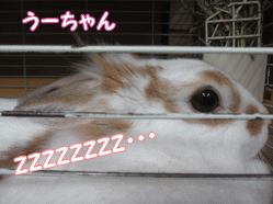 141231r.gif