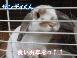 141231s.gif