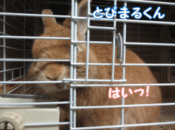 141231y.gif