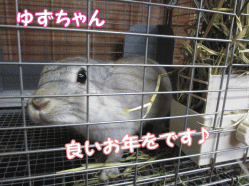 141231z.gif