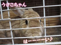 141231z1.gif