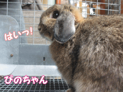 141231z3.gif