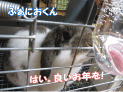 141231z4.gif