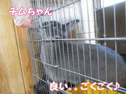141231z5.gif