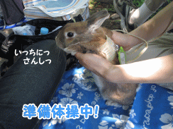 14sora06.gif