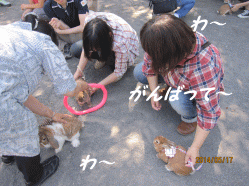14sora09-01.gif