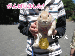 14sora15.gif