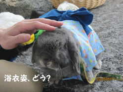 14sora20.gif