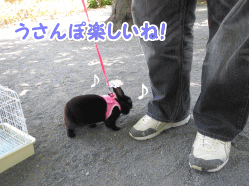 14sora21.gif