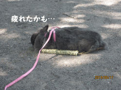 14sora24.gif