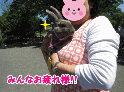 14sora28.gif