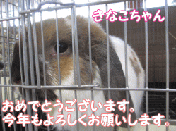 150102z1.gif