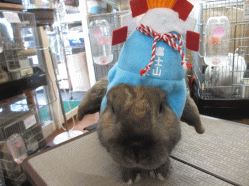 150103d.gif
